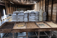 Doka-Estate-Coffee-Plantation-III
