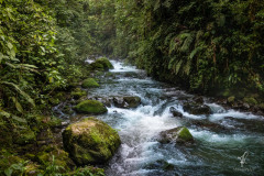 La-Paz-Waterfall-Gardens-I