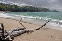 Manuel-Antonio-National-Park-VI