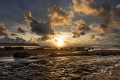 Pirate-Cove-VIII