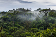 Braulio-Carillo-Nationalpark-V