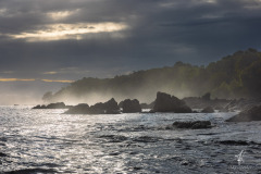 Corcovado-Nationalpark-II