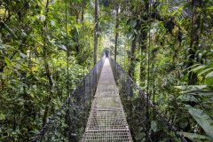 Mystical-Hanging-Bridges