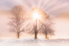 Burst-of-Light