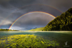Double-Luck