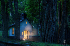 Forest-Chapel