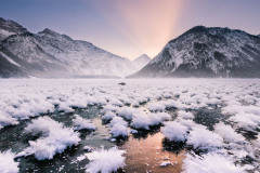 Garden-of-Ice-Flowers