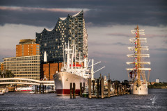 Harbor-City