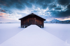 Hibernation