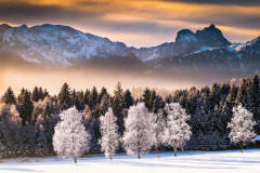 Hoarfrost-Morning