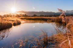 Morning-Light