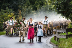 Viehscheid-I