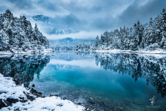 Winter-Hamony