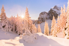 Winter-Paradise