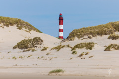Gardian-of-the-Dunes