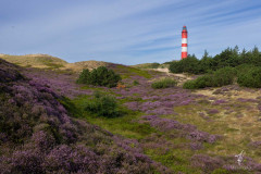 Heather-Tower