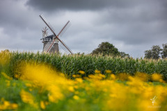 Mill-Colors