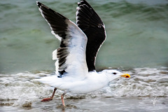 Ready-for-Take-off