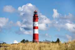 The-Lighthouse