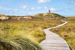 Dunenpfad