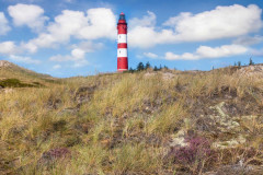 Nordseetraum