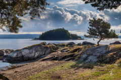 Pines-View