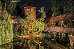 The-Magic-of-the-Night