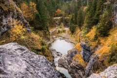 Herbstliche-Wildnis
