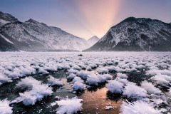 Garden-of-Ice-Flowers