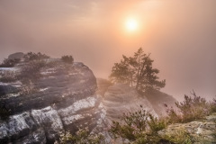 Fog-Catcher