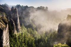 Land-of-Fog