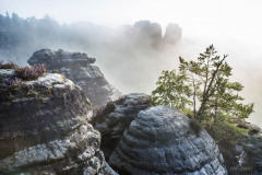 Sandstone-Rocks