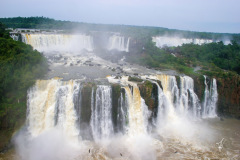 Jungle-Falls