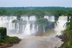 Jungle-River