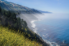 Californian-Coast