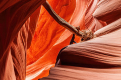 Canyon-Colors