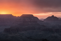 Canyon-Gold
