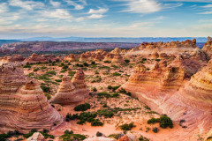 Coyote-Land