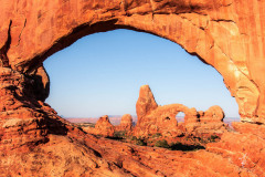 The-Window