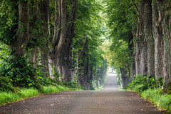 Fruhlingsallee