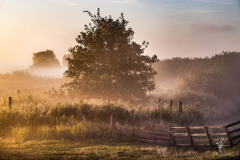 Baltic-Sea-Fog