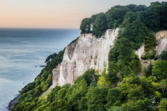 Beech-Ladder