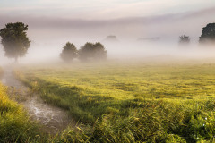Morning-Ground-Fog