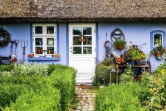 The-Blue-House