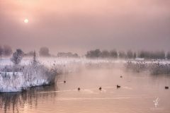 Das-Leuchten-der-Stille