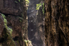 Alpine-Gorge