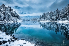 Winter-Hamony